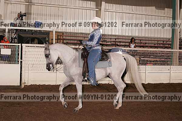 Proof 09yn-01202