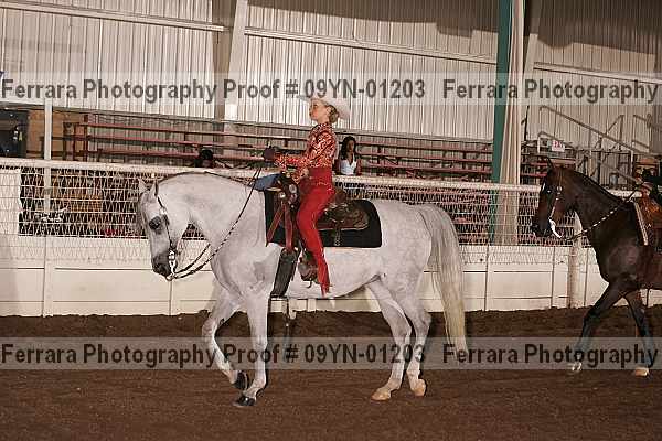 Proof 09yn-01203
