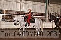 09yn-01203 proof