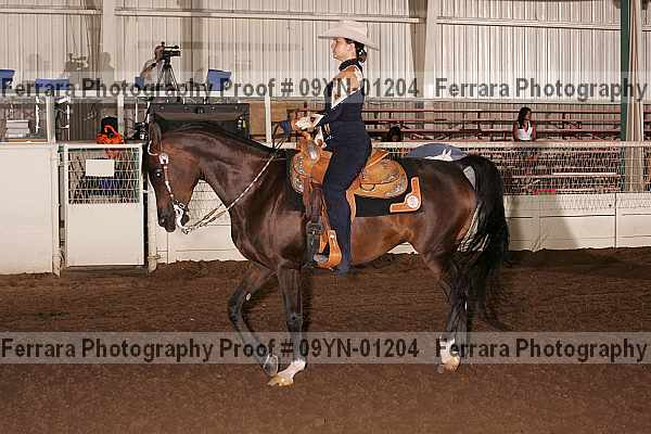 Proof 09yn-01204
