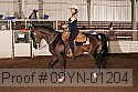 09yn-01204 proof