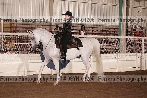 Proof 09yn-01205