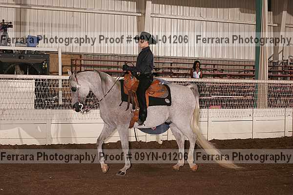 Proof 09yn-01206