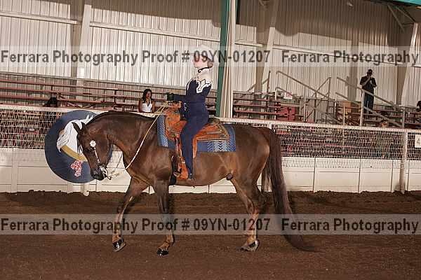 Proof 09yn-01207