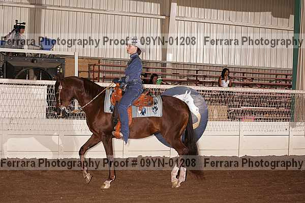 Proof 09yn-01208