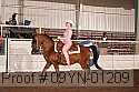 09yn-01209 proof