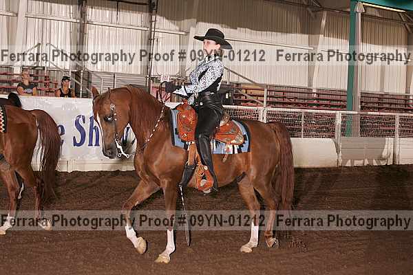 Proof 09yn-01212