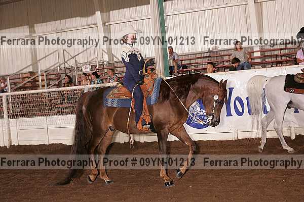 Proof 09yn-01213