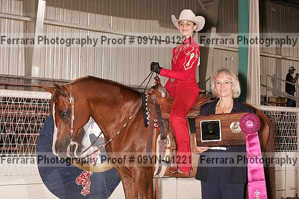 Proof 09yn-01221