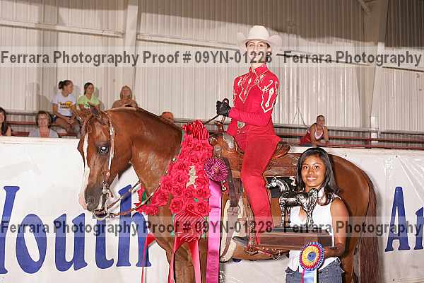 Proof 09yn-01228