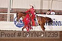 09yn-01239 proof
