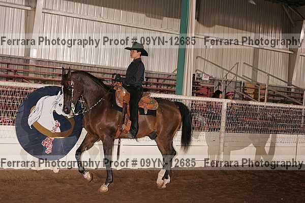 Proof 09yn-12685