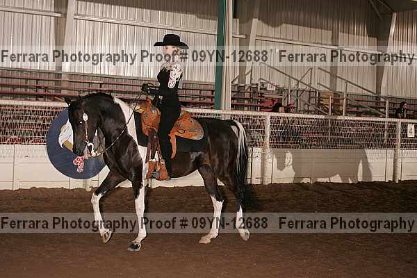 Proof 09yn-12688