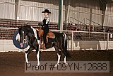 09yn-12688 proof