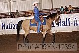 09yn-12694 proof