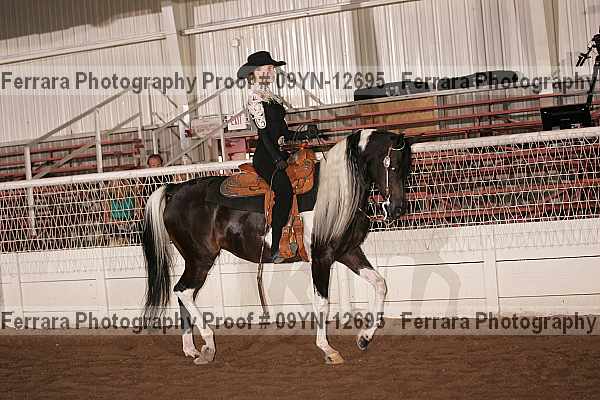 Proof 09yn-12695