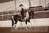 09yn-12695 proof