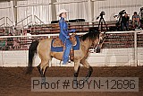 09yn-12696 proof