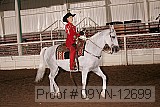 09yn-12699 proof