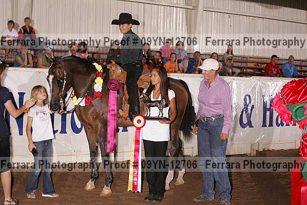 Proof 09yn-12706