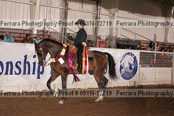 Proof 09yn-12719