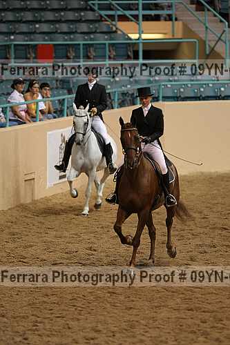 Proof 09yn-09540