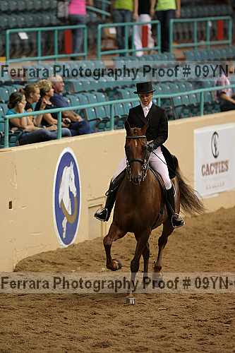 Proof 09yn-09548