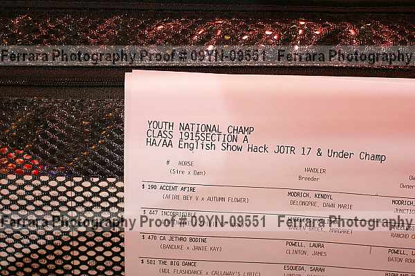 Proof 09yn-09551