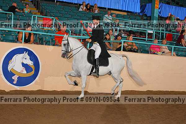 Proof 09yn-09554