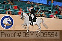 09yn-09554 proof