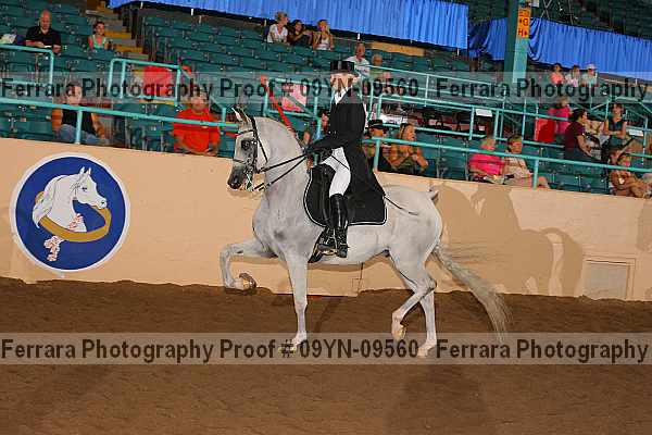 Proof 09yn-09560