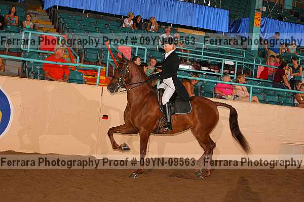 Proof 09yn-09563