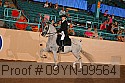 09yn-09564 proof