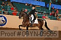 09yn-09565 proof