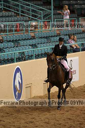 Proof 09yn-09572