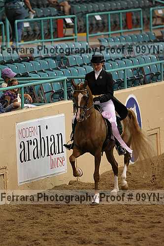 Proof 09yn-09577