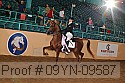 09yn-09587 proof
