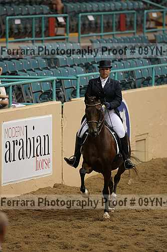 Proof 09yn-09597