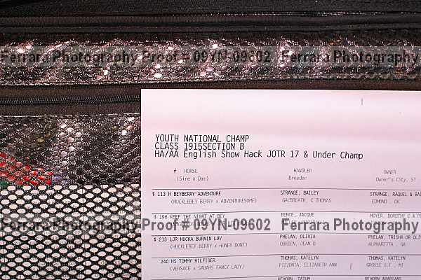 Proof 09yn-09602