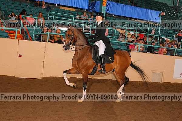 Proof 09yn-09604