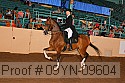 09yn-09604 proof