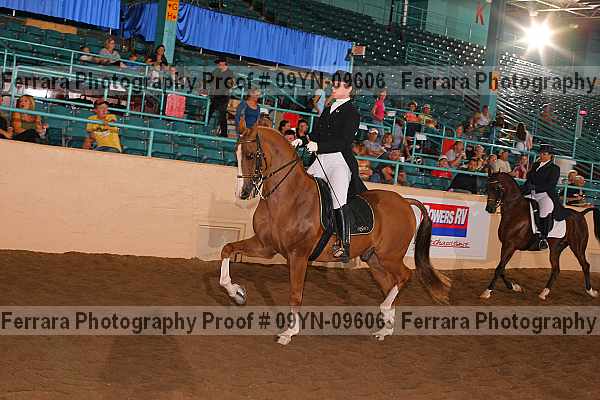 Proof 09yn-09606