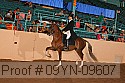 09yn-09607 proof