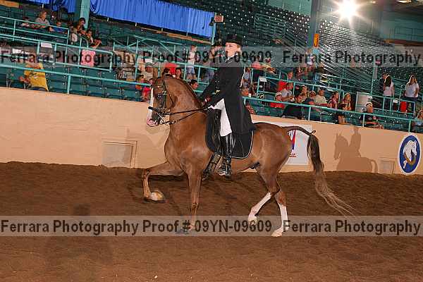 Proof 09yn-09609
