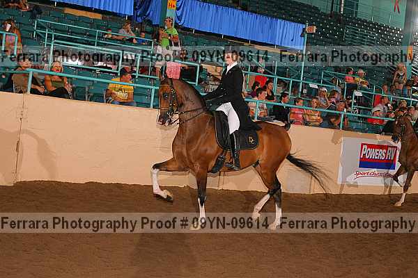 Proof 09yn-09614