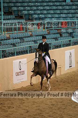 Proof 09yn-09617