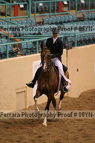 Proof 09yn-09629