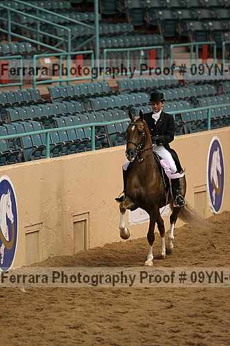Proof 09yn-09630