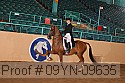 09yn-09635 proof