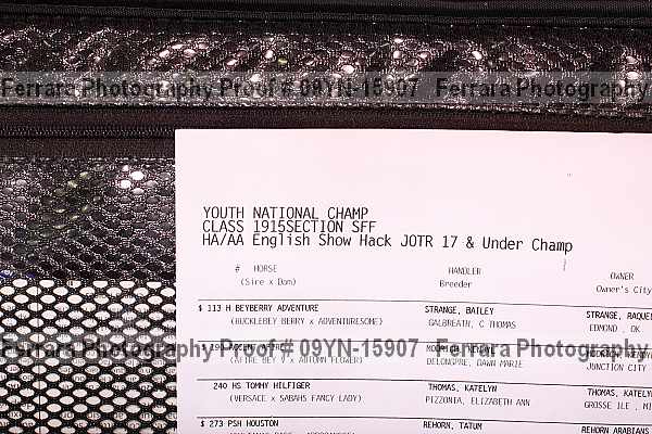 Proof 09yn-15907